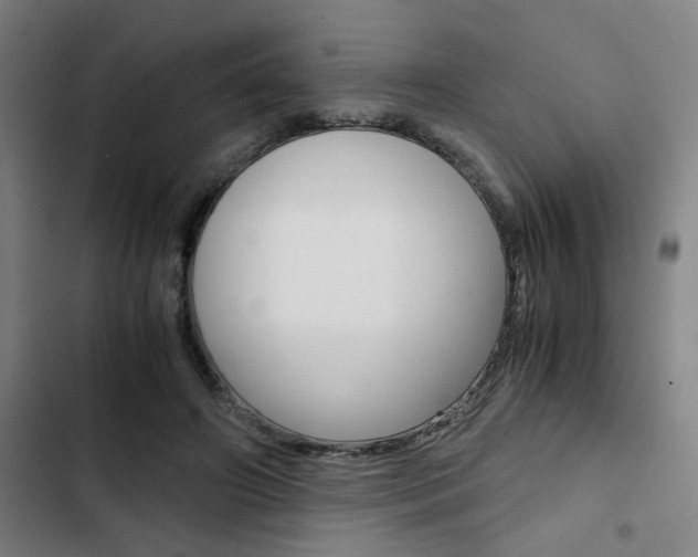 X0000103330498200809051025