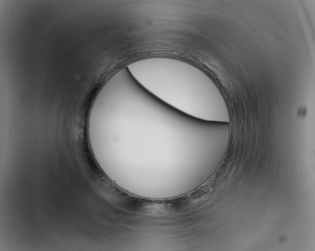 X0000103330499200809051025