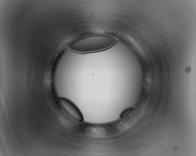X0000103330500200809051025