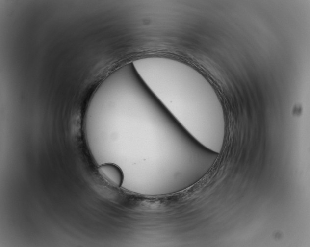 X0000103330502200809051025