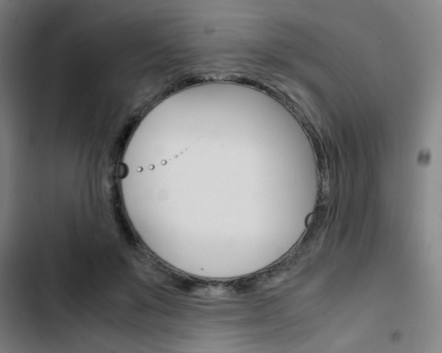 X0000103330503200809051025