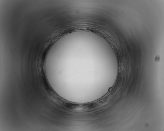 X0000103330504200809051025