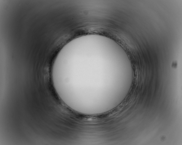 X0000103330506200809051025