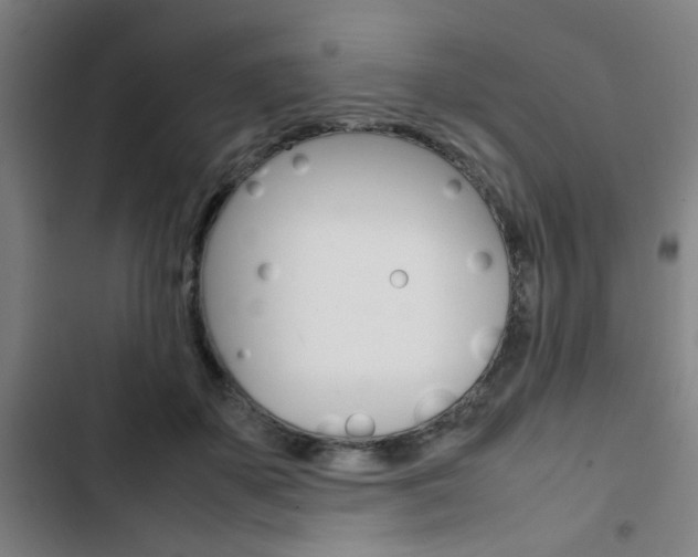 X0000103330507200809051025