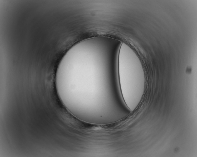 X0000103330509200809051025