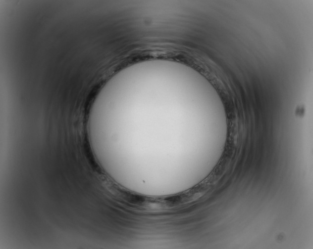 X0000103330510200809051025