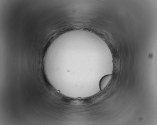 X0000103330511200809051025