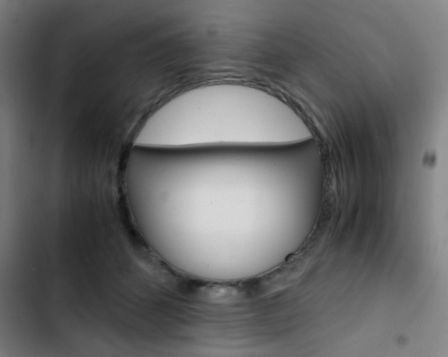 X0000103330512200809051025