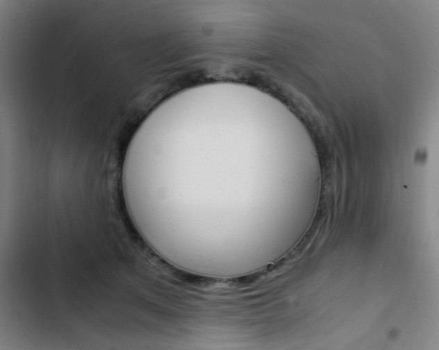 X0000103330513200809051025