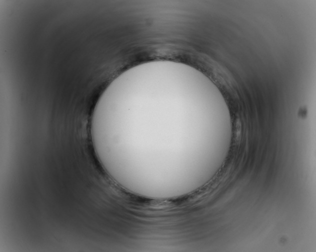X0000103330514200809051025