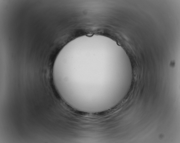 X0000103330515200809051025