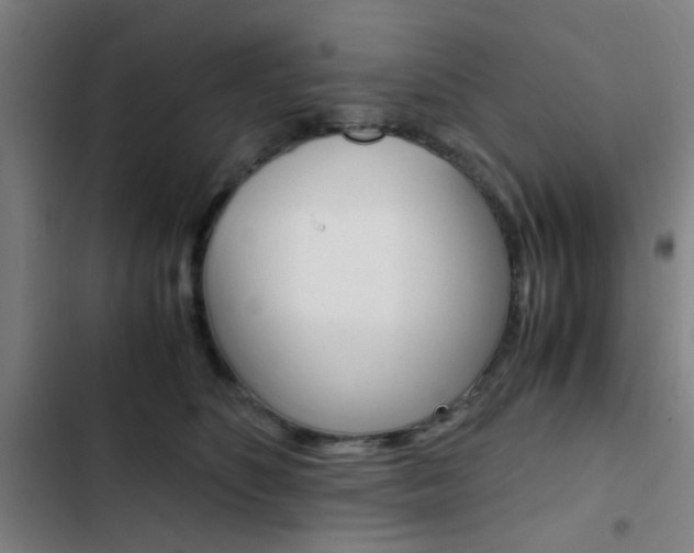 X0000103330516200809051025