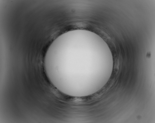 X0000103330518200809051025