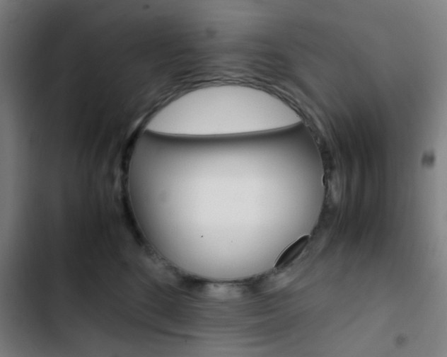 X0000103330520200809051025