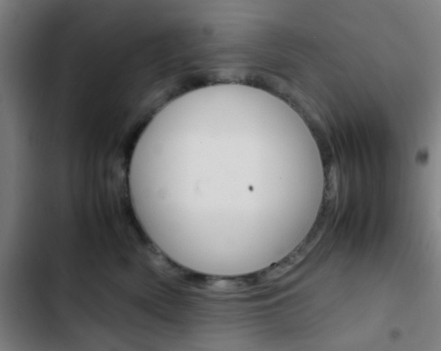X0000103330522200809051025