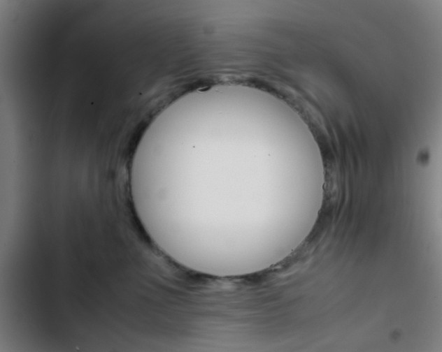 X0000103330523200809051025
