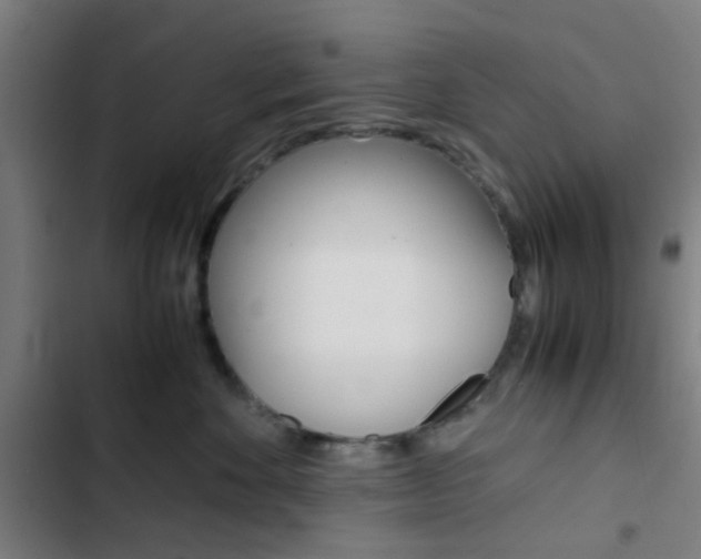 X0000103330524200809051025