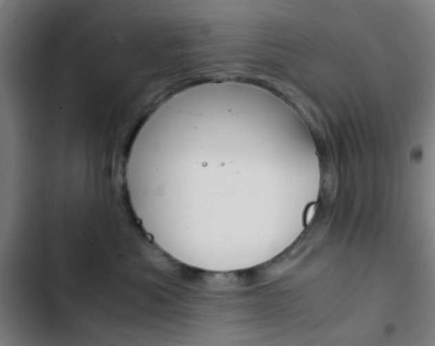 X0000103330525200809051025