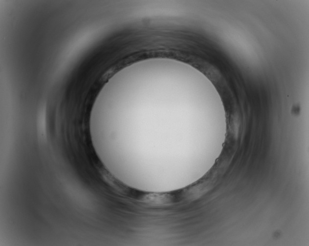 X0000103330526200809051025