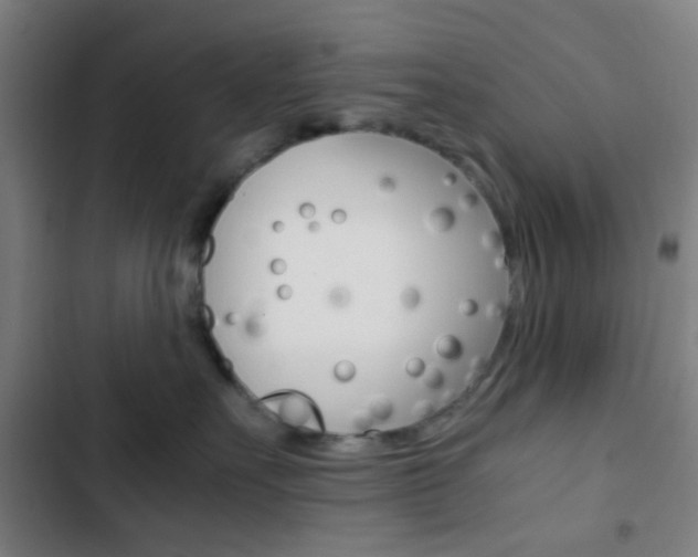 X0000103330527200809051025