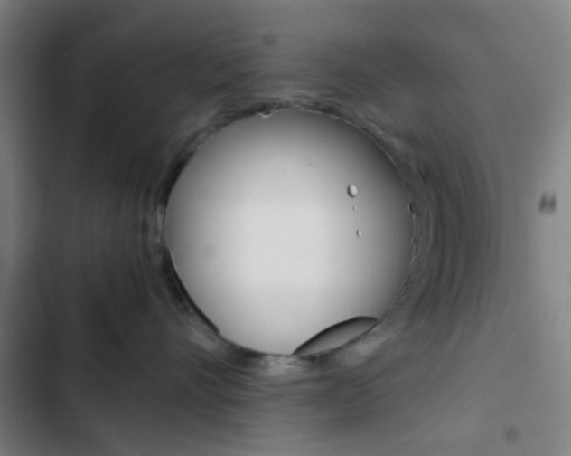 X0000103330528200809051025