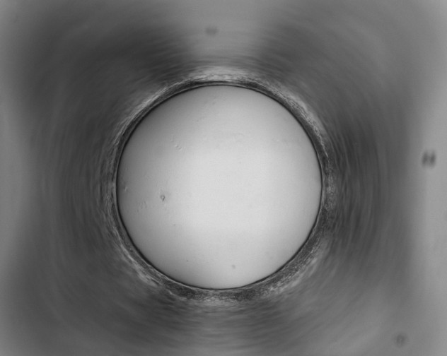 X0000103330529200809051024