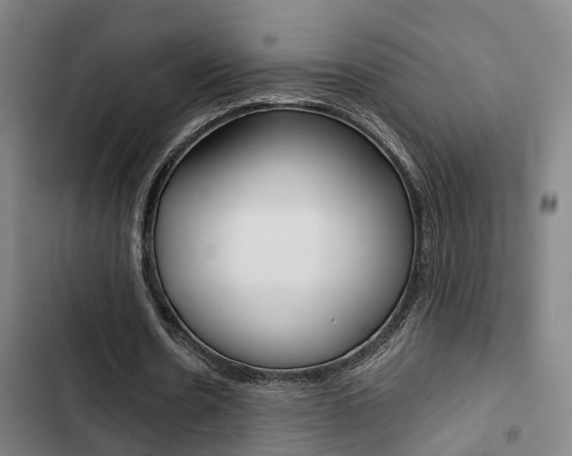 X0000103330530200809051024