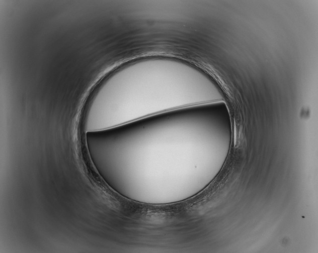 X0000103330531200809051024