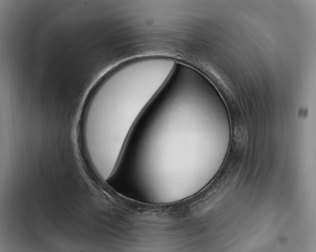 X0000103330532200809051024
