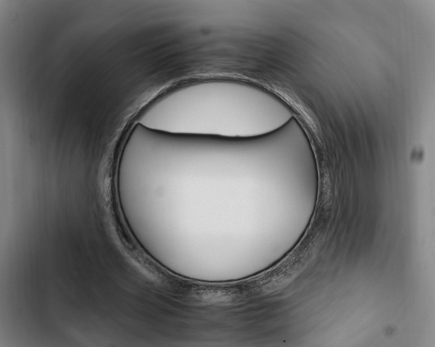 X0000103330533200809051024