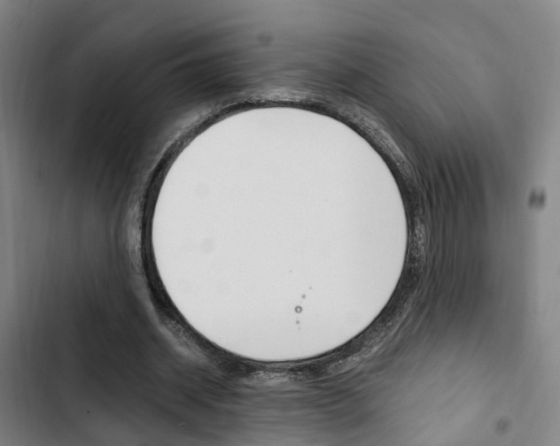 X0000103330534200809051024