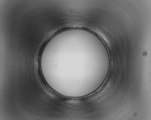 X0000103330537200809051024