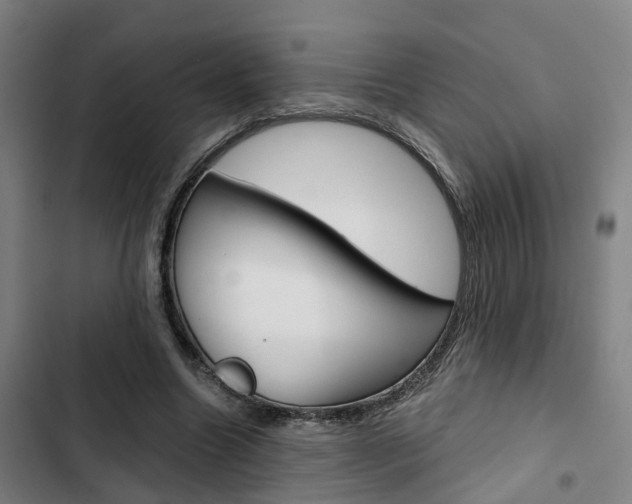 X0000103330538200809051024