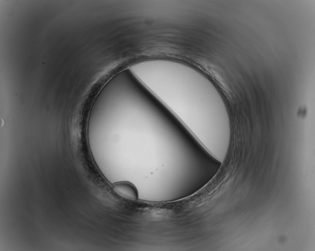X0000103330539200809051024
