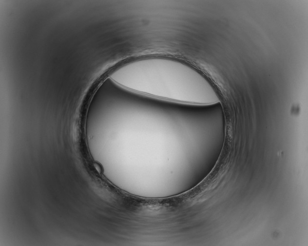X0000103330540200809051024