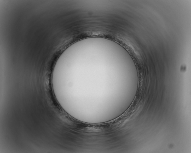 X0000103330545200809051024