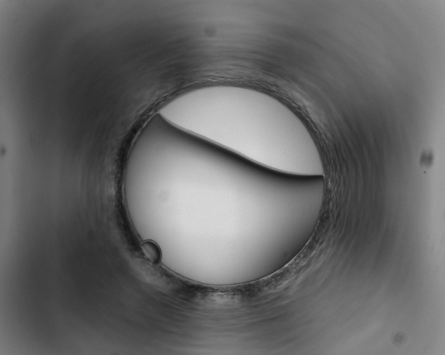 X0000103330546200809051024