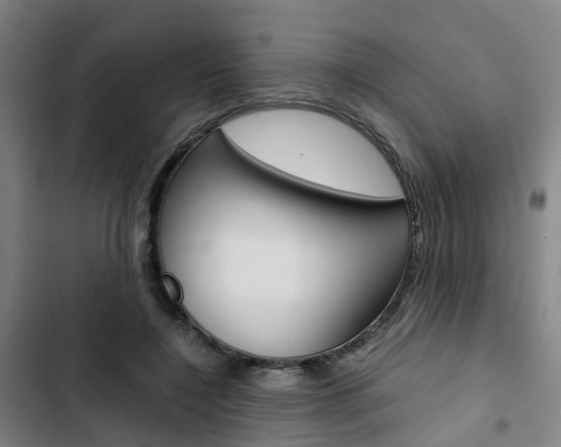 X0000103330548200809051024