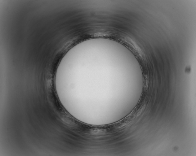 X0000103330549200809051024