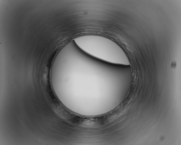 X0000103330550200809051024