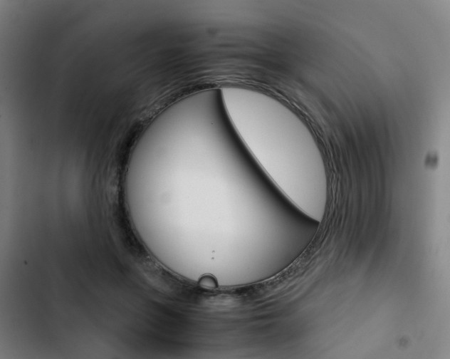 X0000103330551200809051024