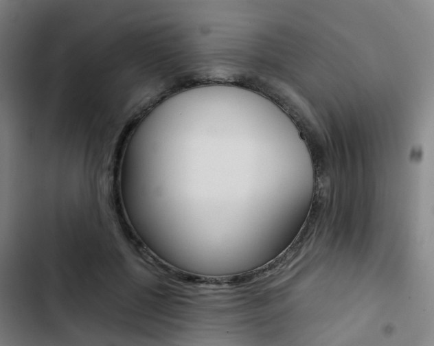 X0000103330552200809051024