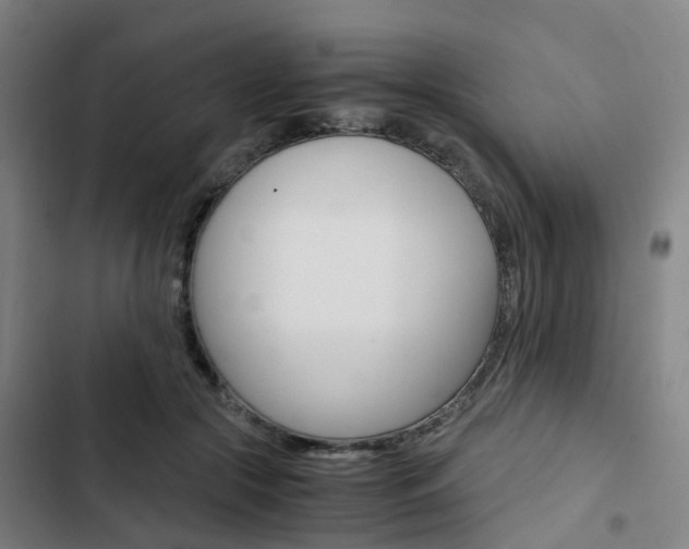 X0000103330553200809051025