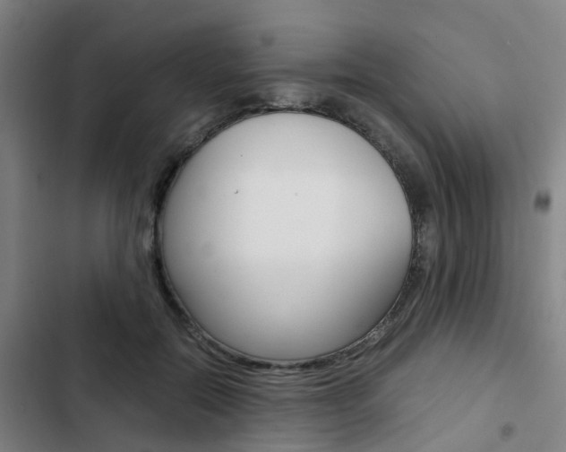 X0000103330554200809051025