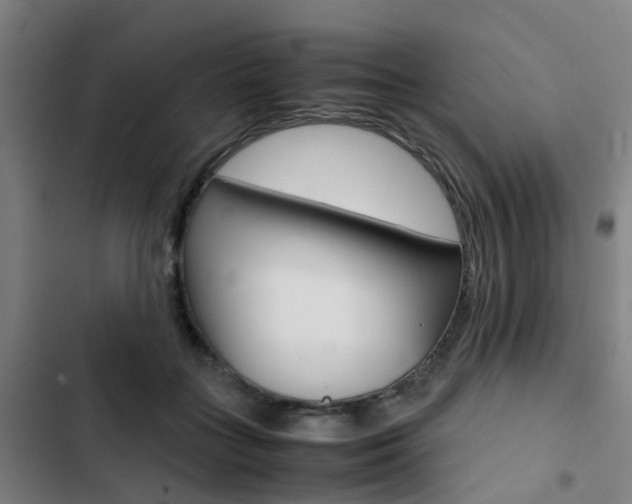 X0000103330555200809051025