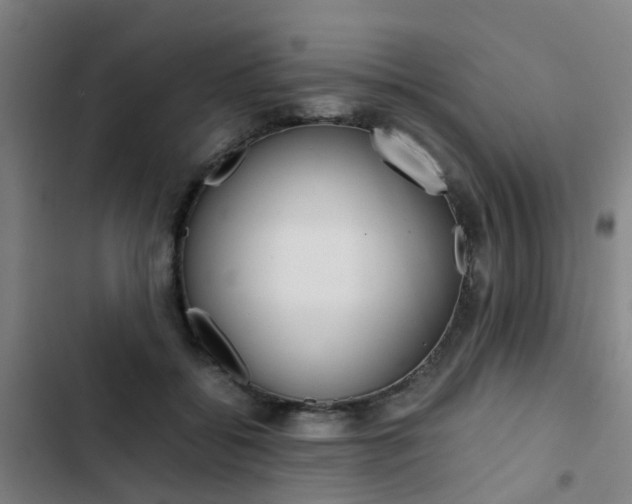 X0000103330556200809051025