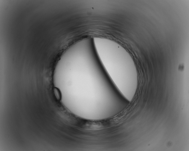 X0000103330559200809051025