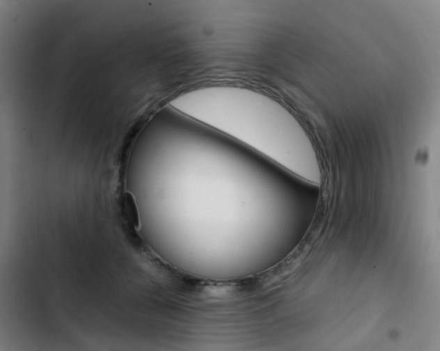 X0000103330560200809051025