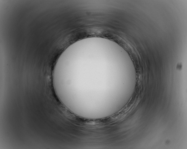 X0000103330561200809051025