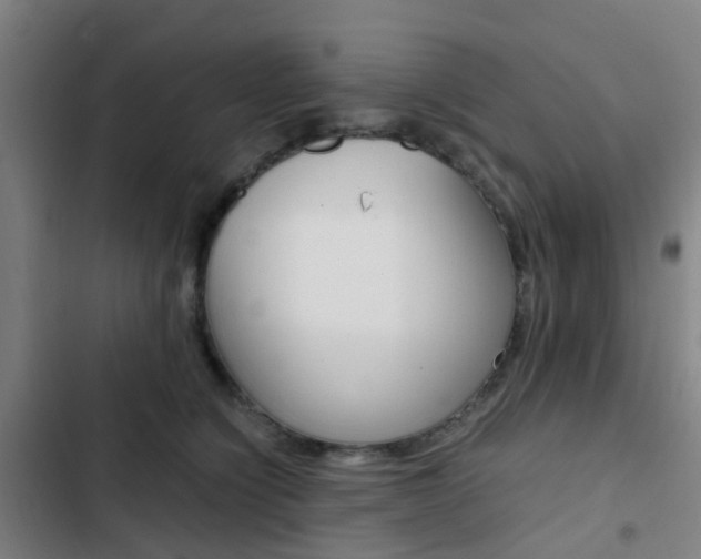 X0000103330564200809051025